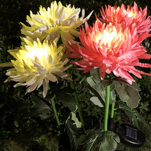 Laden Sie das Bild in den Galerie-Viewer, Solar Chrysantheme LED Gartenlandschaftsleuchte