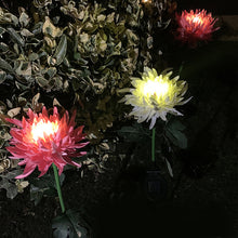 Laden Sie das Bild in den Galerie-Viewer, Solar Chrysantheme LED Gartenlandschaftsleuchte