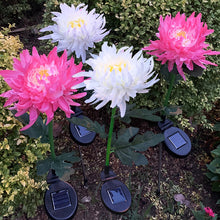 Laden Sie das Bild in den Galerie-Viewer, Solar Chrysantheme LED Gartenlandschaftsleuchte
