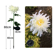 Laden Sie das Bild in den Galerie-Viewer, Solar Chrysantheme LED Gartenlandschaftsleuchte