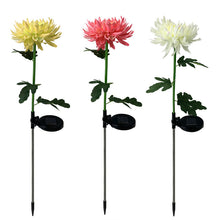 Laden Sie das Bild in den Galerie-Viewer, Solar Chrysantheme LED Gartenlandschaftsleuchte